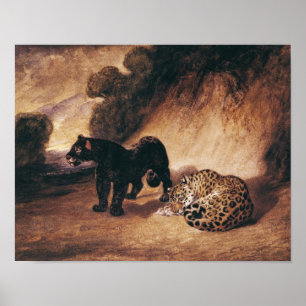 Póster Dos jaguares de Perú