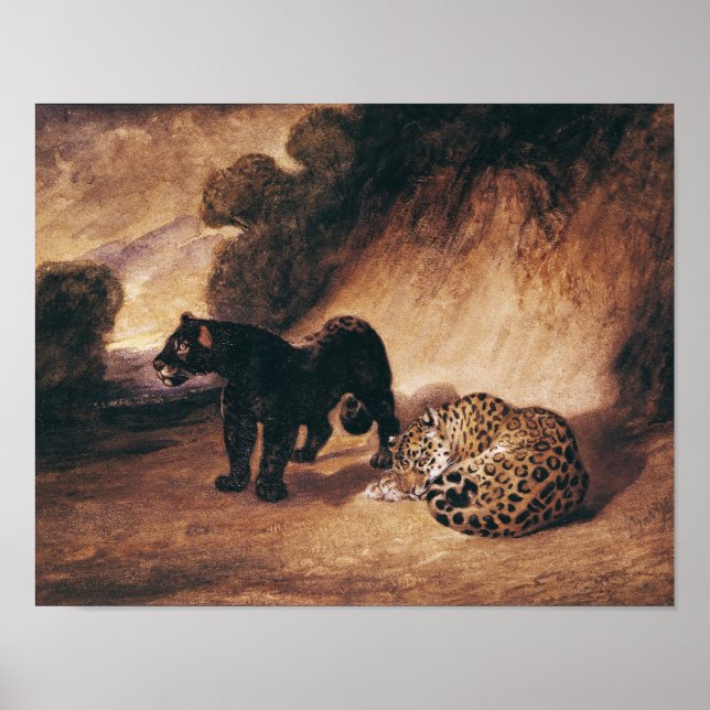 Póster Dos jaguares del Perú (Frente)