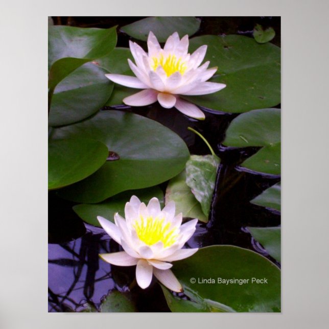 Póster Dos lienzos de agua ligera (Frente)