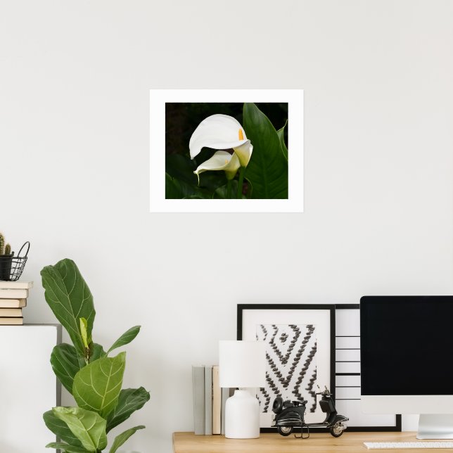Póster Dos Lirios de Calla Blancos Fotografía Floral (Oficina en casa)