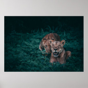 PÓSTER DOS LONES EN PLANTAS VERDES