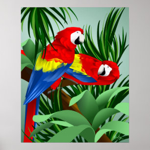 Póster Dos Macaws del escarlata