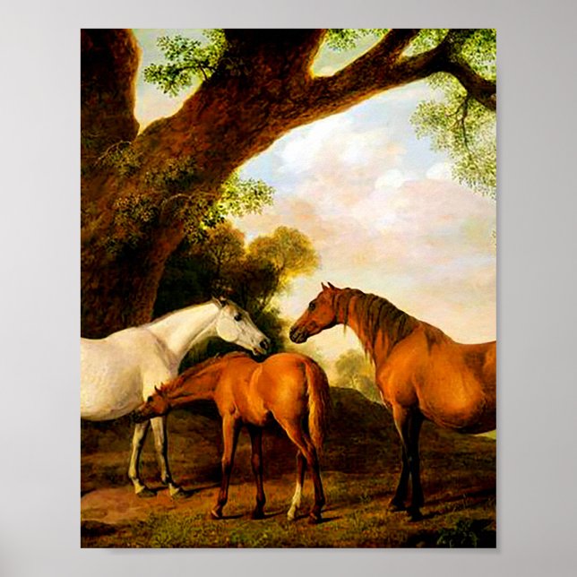 Póster Dos Mares Shafto y un Tonto de George Stubbs (Frente)
