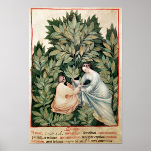 Póster Dos mujeres que escogen el sabio, de 'Tacuinum