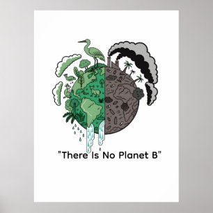 Póster Dos Mundos Eco Tierra Conciencia de la Sostenibi