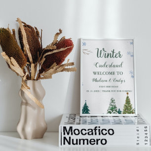 Póster Dos Navidades gemelos en el mundo continental bien