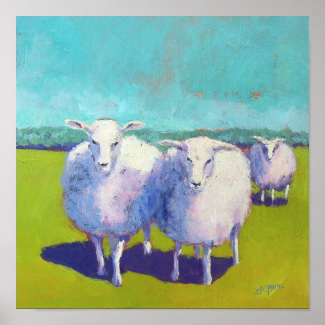 Póster Dos ovejas en el campo (Frente)