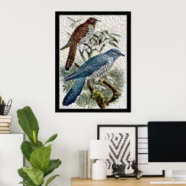 Póster Dos pájaros cucú de colores en un cartel texturiza
