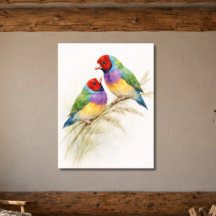 Dos pájaros pinzones de Gould coloridos