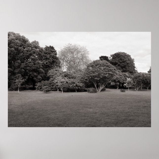 Póster Dos para la alegría (con tonos cálidos) (Frente)