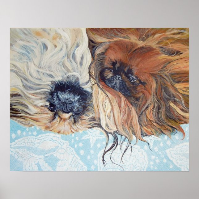Póster Dos perros pequinés (Frente)