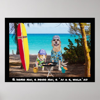 Póster Dos perros surfistas en la playa