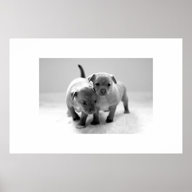 Póster Dos por uno (Frente)