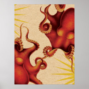 Póster Dos pulpo rojo colisionado