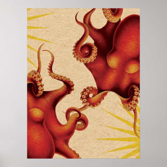 Póster Dos pulpo rojo colisionado (Frente)