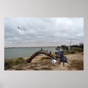 Póster Dos Staffordshire Bull Terrier En El Lago,