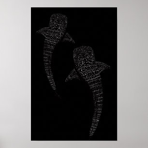 Póster Dos tiburones ballena negros y blancos