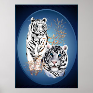 Póster Dos Tigres Blancos Poster Oval