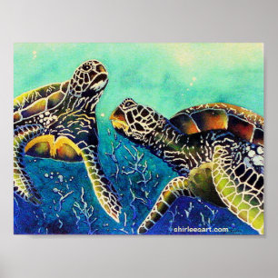 Póster dos tortugas