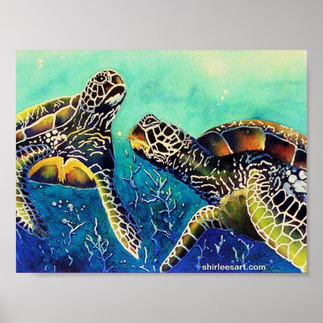 Póster dos tortugas (Frente)