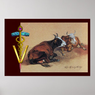 PÓSTER DOS VACAS MENTIROSAS CADUCEO DE ORO SÍMBOLO VETERI
