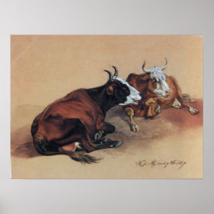 PÓSTER DOS VACAS MINTIENDO