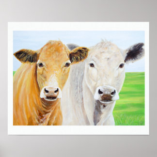 Póster Dos vacas para Oklahoma 16 x 20 Imprimir