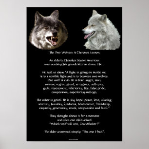 Póster DOS WOLVES CHEROKEE TALE Art Poster
