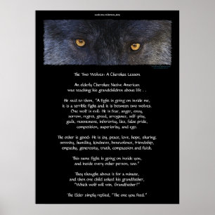 Póster DOS WOLVES CHEROKEE TALE Art Poster