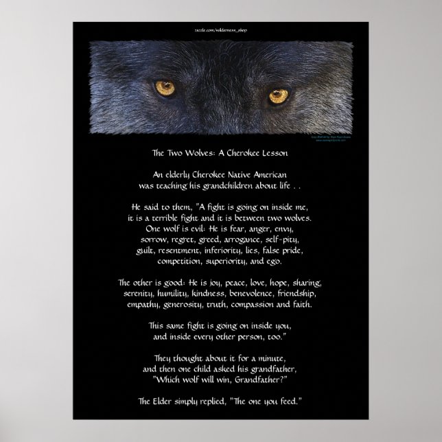 Póster DOS WOLVES CHEROKEE TALE Art Poster (Frente)