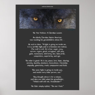 Póster DOS WOLVES CHEROKEE TALE Art Poster