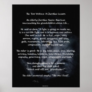 Póster DOS WOLVES CHEROKEE TALE Art Poster