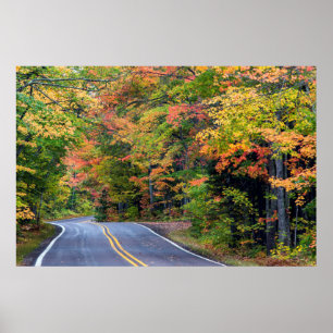 Póster Dosel de otoño de color a lo largo de la autopista