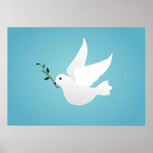 Póster Dove