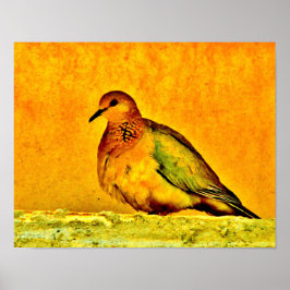 Póster Dove Beauty