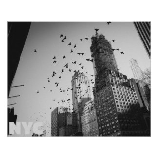 Póster Doves over Manhattan
