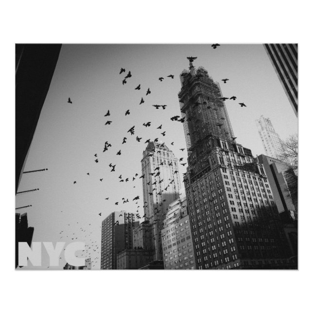 Póster Doves over Manhattan (Anverso)