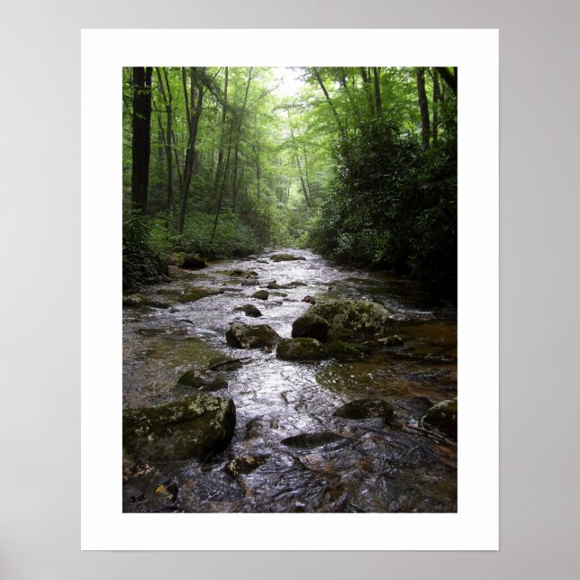 Póster Downstream (Frente)