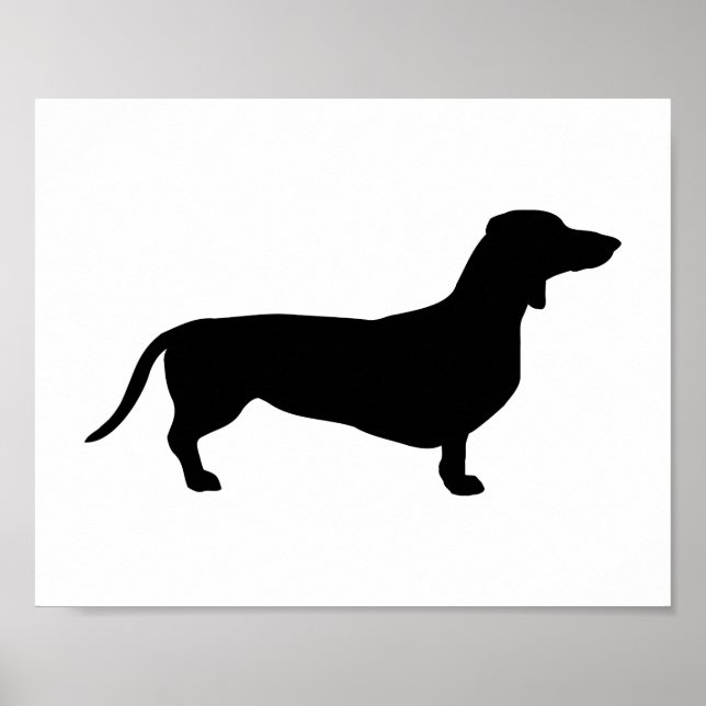 Póster Doxie (Frente)