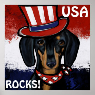 PÓSTER DOXIE