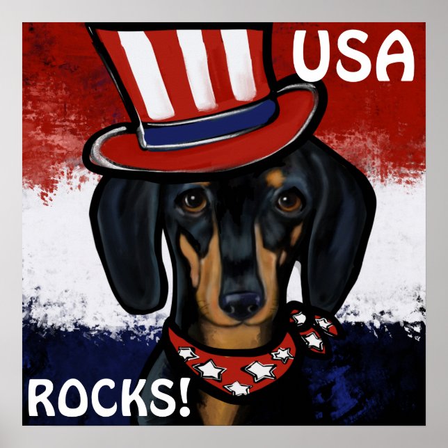 PÓSTER DOXIE          (Frente)