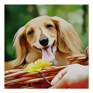 Póster Doxie Persona Mano Mostrando Una Flor A Un Dachshu