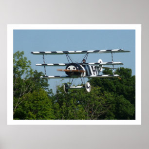 Póster DR.1 239/17 En Final!