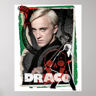 Póster Draco Malfoy 6