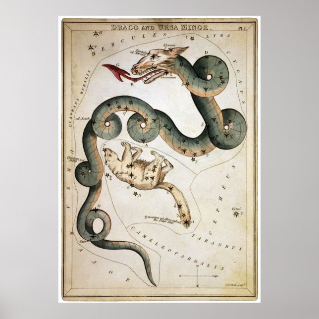 Póster Draco y Ursa Menor (Frente)