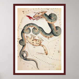 Póster Draco y Ursa Menor por Sidney Hall