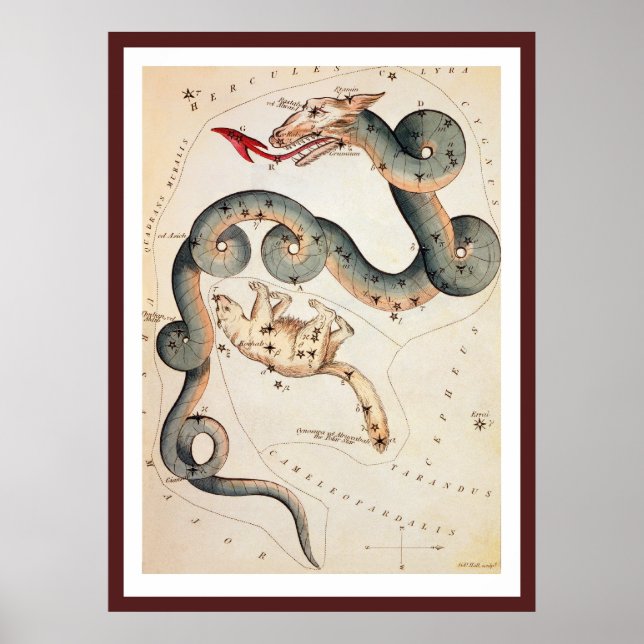 Póster Draco y Ursa Menor por Sidney Hall (Frente)