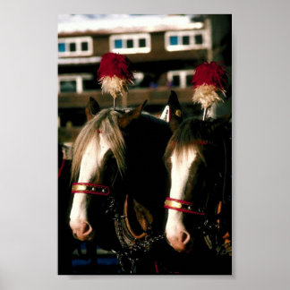 Póster Draft Horse Tandem