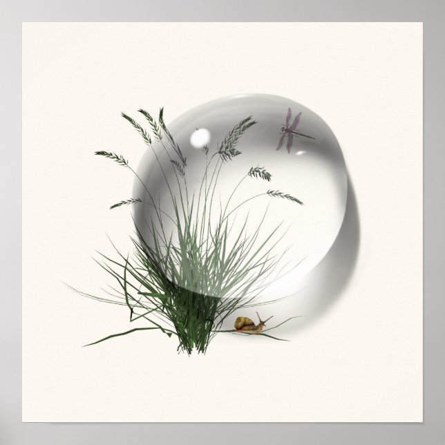 Póster Dragón Caracol Gota de Agua Abstracto  (Frente)