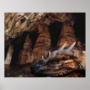 Póster Dragón de cuevas